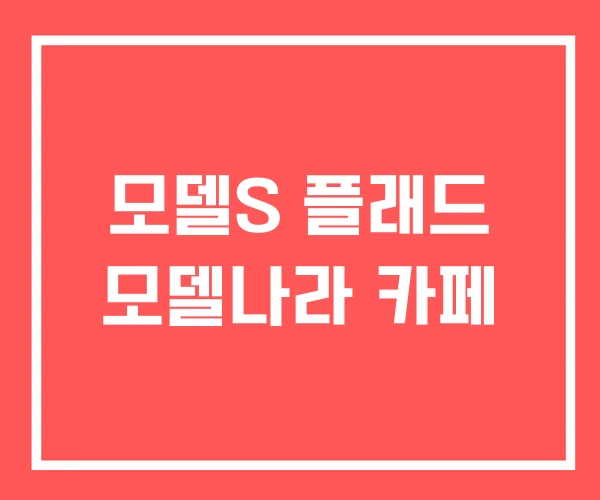 모델S 플래드 모델나라 카페