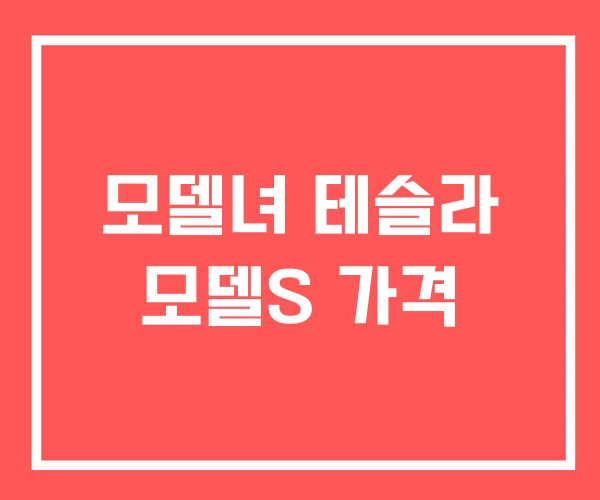 모델녀 테슬라 모델S 가격