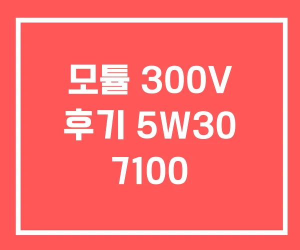모튤 300V 후기 5W30 7100 모튤 300V 후기 5W30 7100
