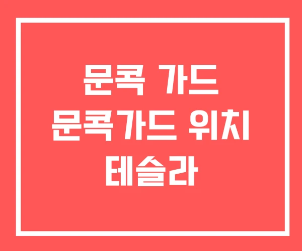 문콕 가드 문콕가드 위치 테슬라