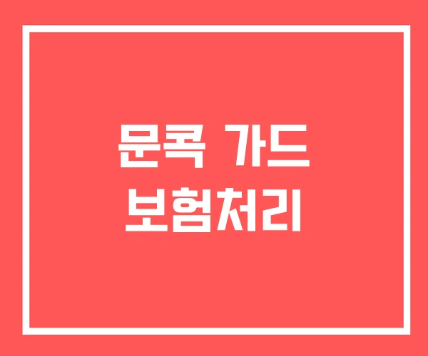 문콕 가드 보험처리