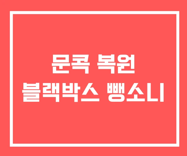 문콕 복원 블랙박스 뺑소니 문콕 복원 블랙박스 뺑소니