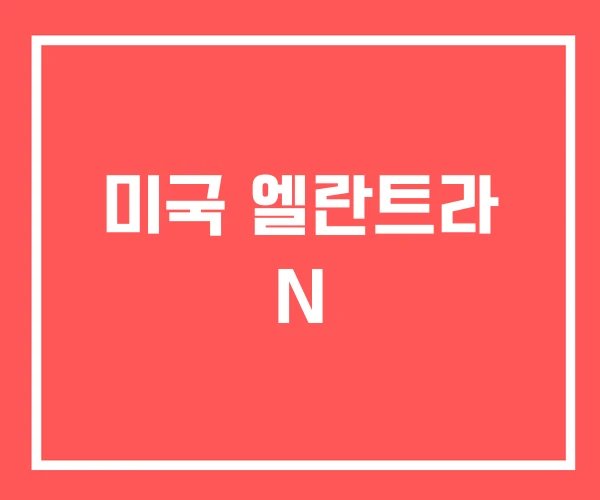 미국 엘란트라 N 미국 엘란트라 N