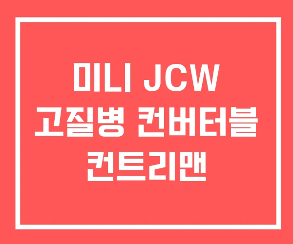 미니 JCW 고질병 컨버터블 컨트리맨 미니 JCW 고질병 컨버터블 컨트리맨