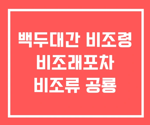 백두대간 비조령 비조래포차 비조류 공룡