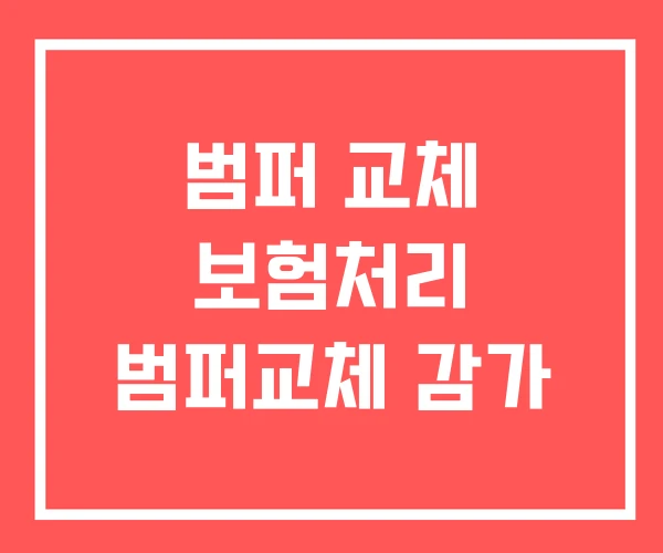 범퍼 교체 보험처리 범퍼교체 감가 범퍼 교체 보험처리 범퍼교체 감가