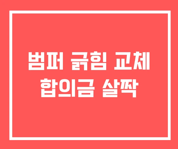 범퍼 긁힘 교체 합의금 살짝