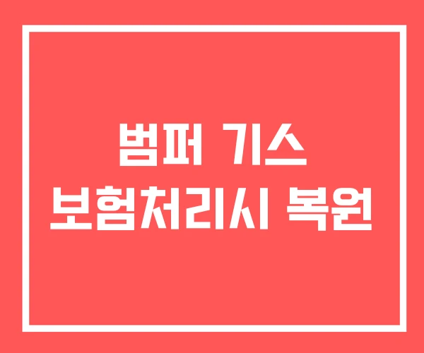 범퍼 기스 보험처리시 복원