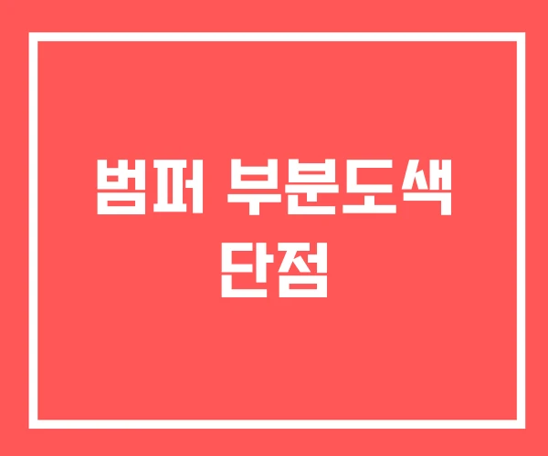 범퍼 부분도색 단점