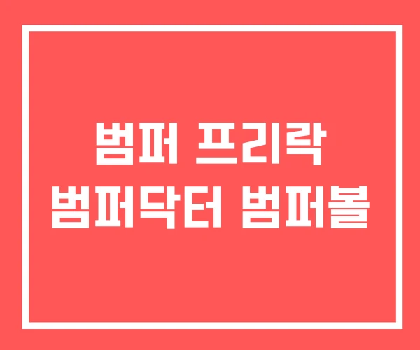 범퍼 프리락 범퍼닥터 범퍼볼 범퍼 프리락 범퍼닥터 범퍼볼