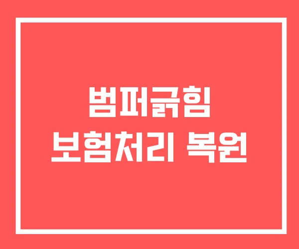 범퍼긁힘 보험처리 복원