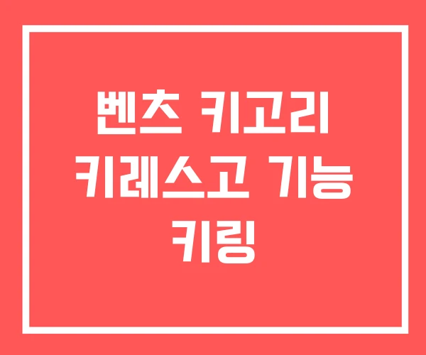 벤츠 키고리 키레스고 기능 키링 벤츠 키고리 키레스고 기능 키링