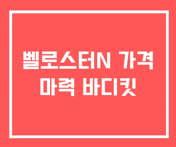 벨로스터N 가격 마력 바디킷