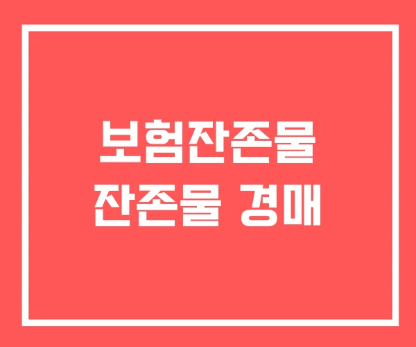 보험잔존물 잔존물 경매 보험잔존물 잔존물 경매