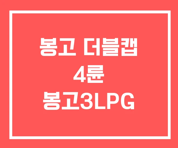 봉고 더블캡 4륜 봉고3LPG 봉고 더블캡 4륜 봉고3LPG