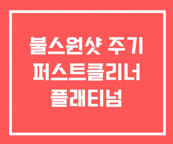 불스원샷 주기 퍼스트클리너 플래티넘