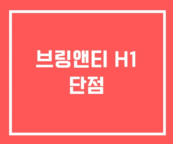 브링앤티 H1 단점 브링앤티 H1 단점