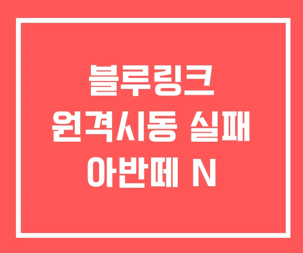 블루링크 원격시동 실패 아반떼 N 블루링크 원격시동 실패 아반떼 N