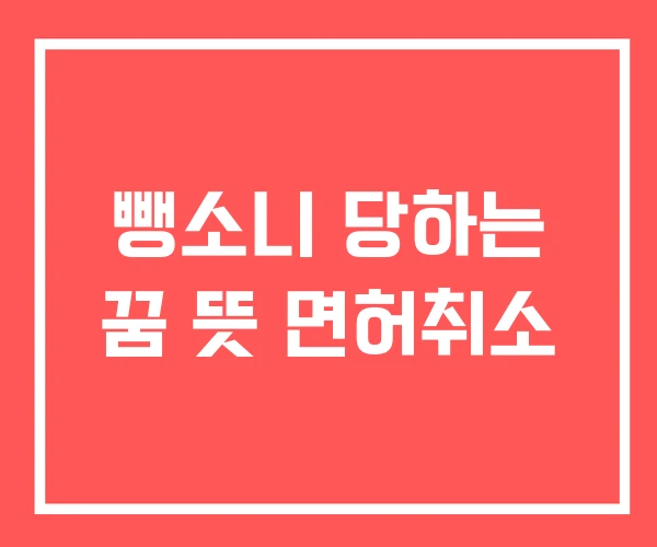 뺑소니 당하는 꿈 뜻 면허취소 뺑소니 당하는 꿈 뜻 면허취소