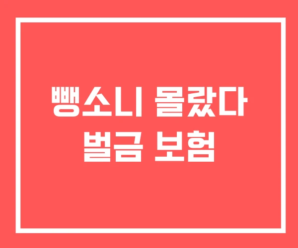 뺑소니 몰랐다 벌금 보험 뺑소니 몰랐다 벌금 보험