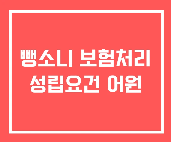 뺑소니 보험처리 성립요건 어원 뺑소니 보험처리 성립요건 어원