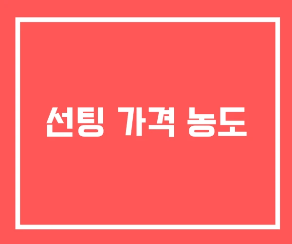 선팅 가격 농도 선팅 가격 농도