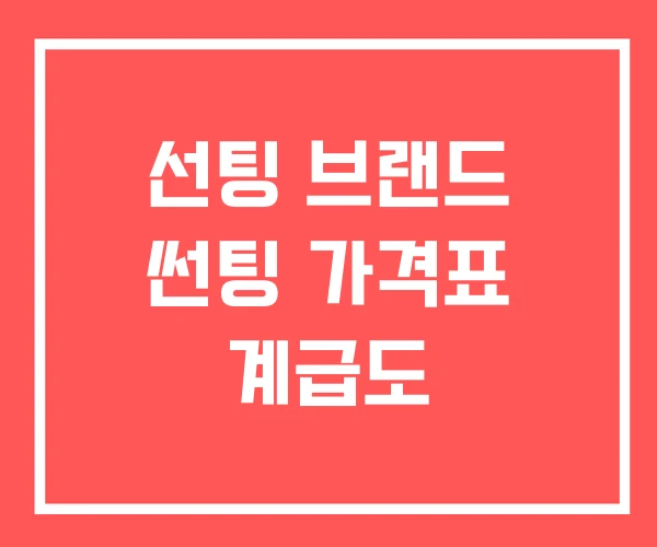 선팅 브랜드 썬팅 가격표 계급도 선팅 브랜드 썬팅 가격표 계급도