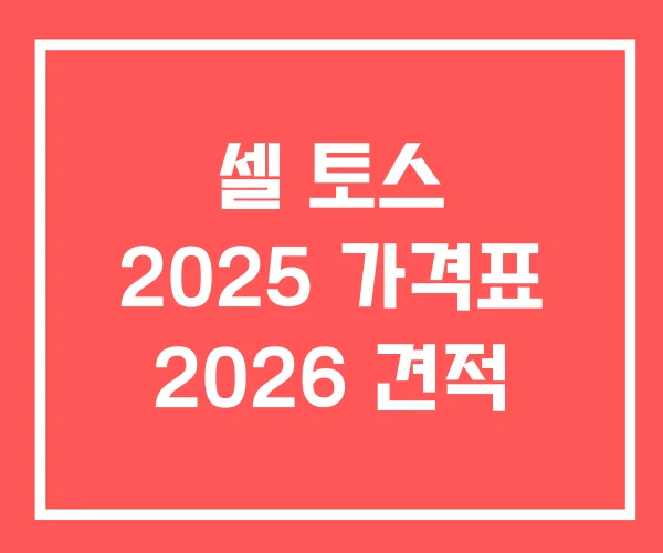 셀 토스 2025 가격표 2026 견적