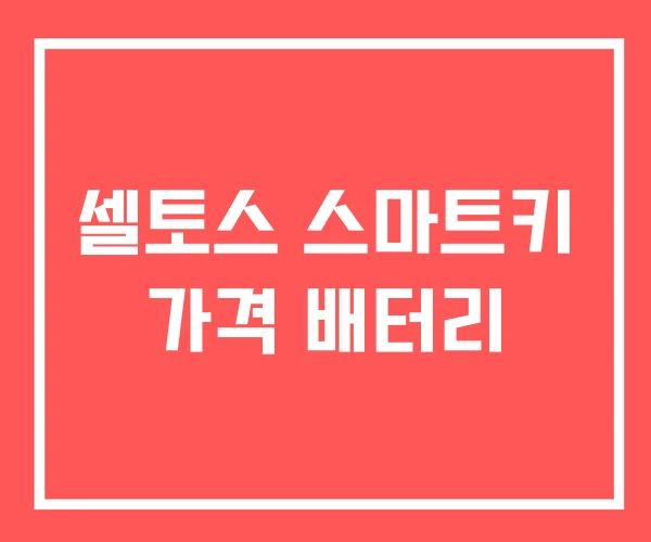 셀토스 스마트키 가격 배터리 셀토스 스마트키 가격 배터리