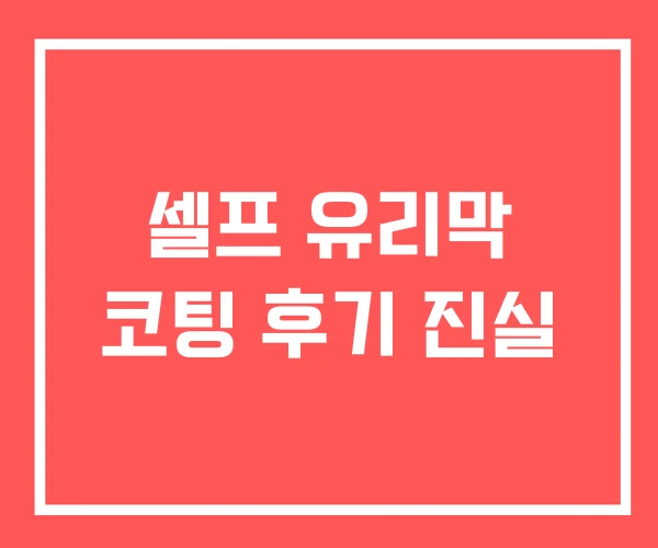 셀프 유리막 코팅 후기 진실 셀프 유리막 코팅 후기 진실