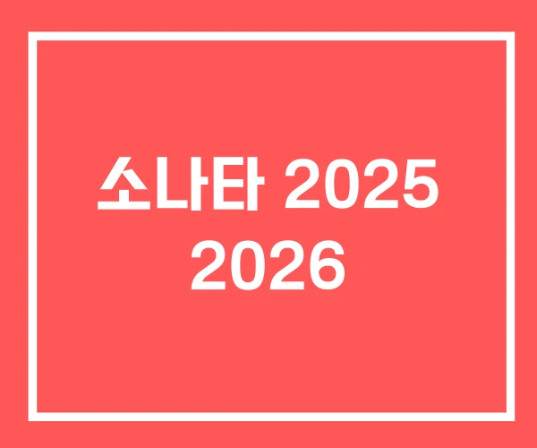소나타 2025 2026