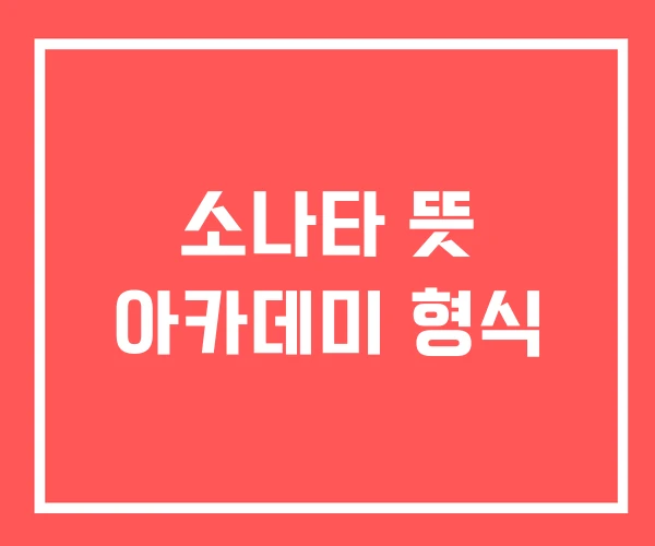 소나타 뜻 아카데미 형식