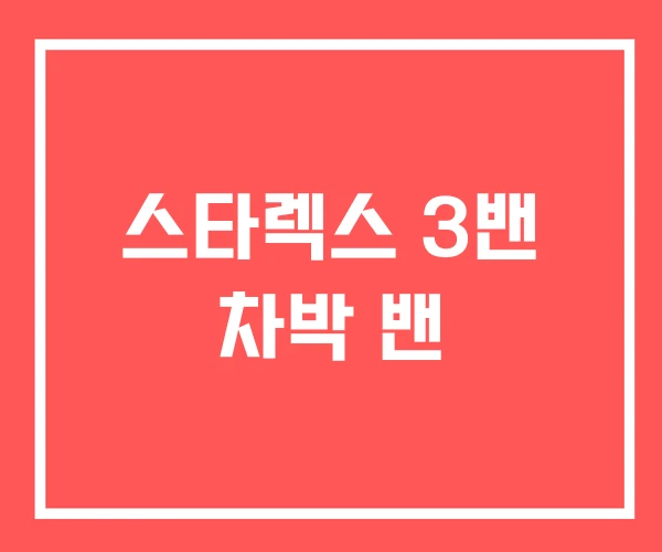 스타렉스 3밴 차박 밴 스타렉스 3밴 차박 밴