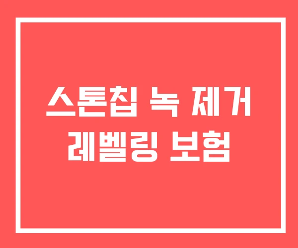 스톤칩 녹 제거 레벨링 보험