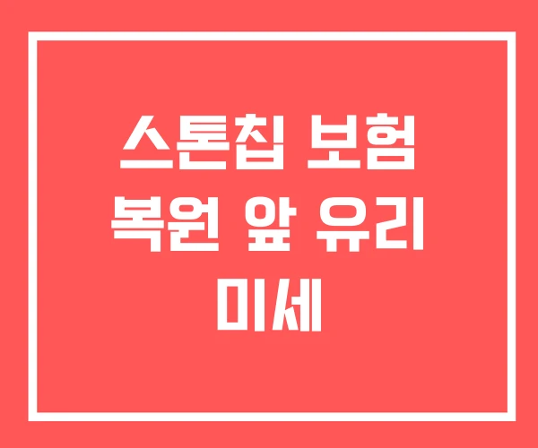 스톤칩 보험 복원 앞 유리 미세