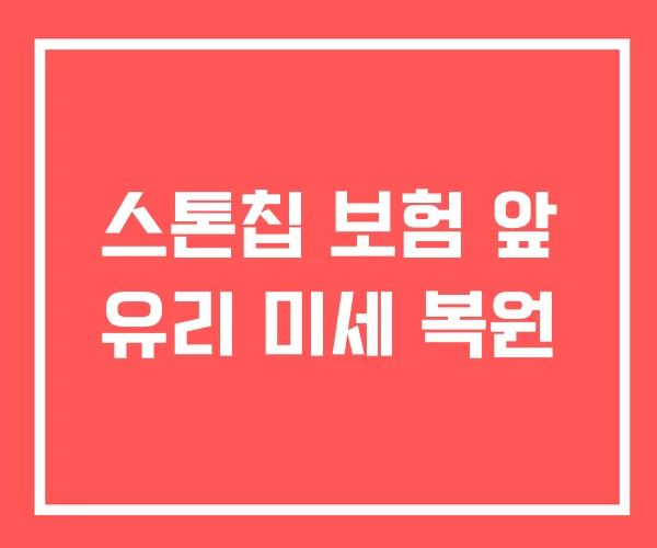 스톤칩 보험 앞 유리 미세 복원