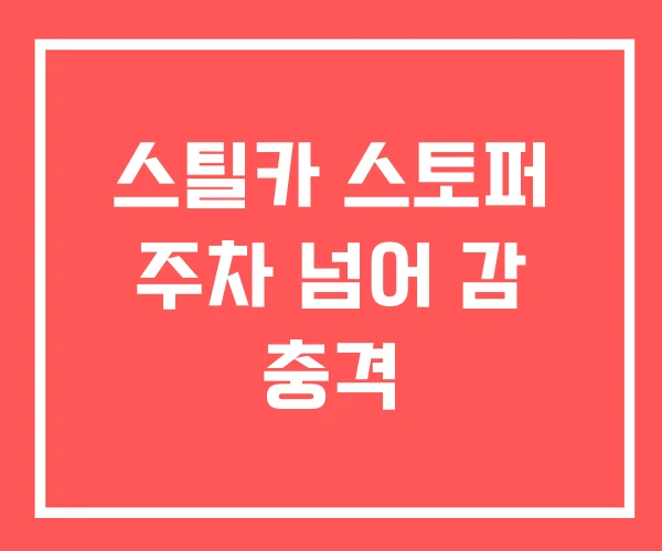 스틸카 스토퍼 주차 넘어 감 충격 스틸카 스토퍼 주차 넘어 감 충격