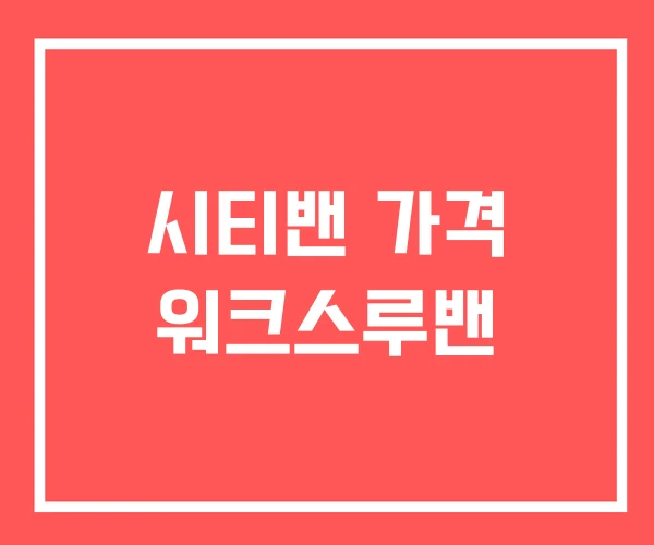 시티밴 가격 워크스루밴