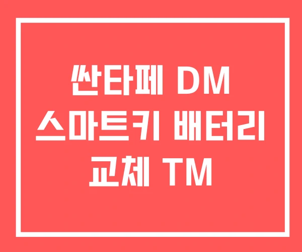 싼타페 DM 스마트키 배터리 교체 TM