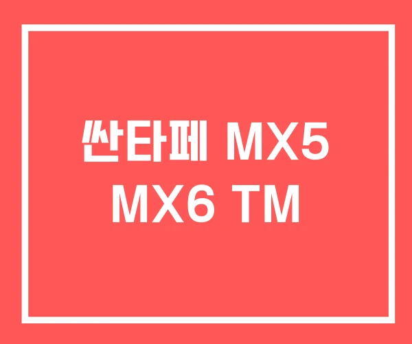 싼타페 MX5 MX6 TM