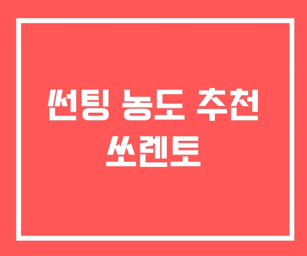 썬팅 농도 추천 쏘렌토