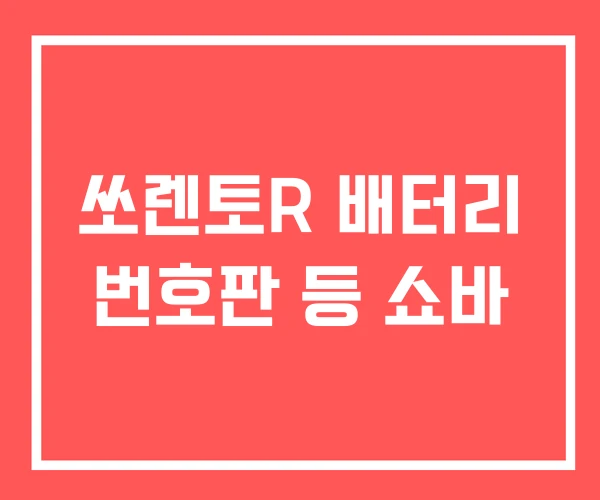 쏘렌토R 배터리 번호판 등 쇼바