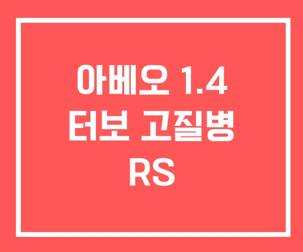 아베오 1.4 터보 고질병 RS