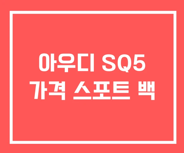 아우디 SQ5 가격 스포트 백