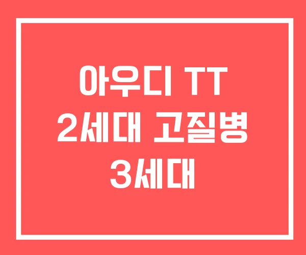 아우디 TT 2세대 고질병 3세대