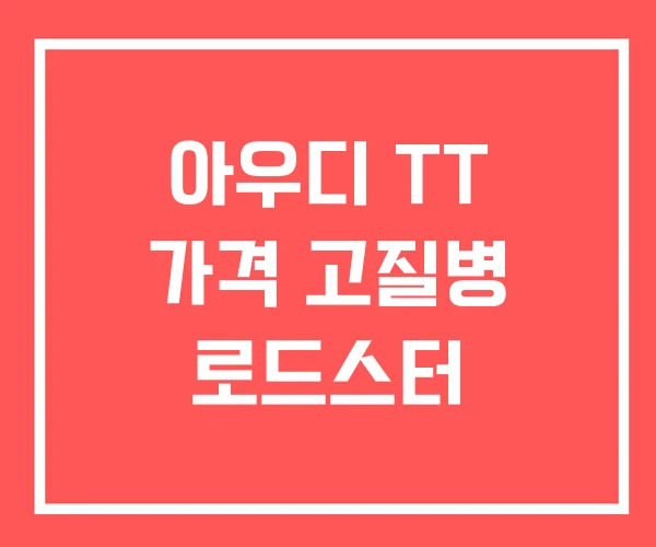 아우디 TT 가격 고질병 로드스터