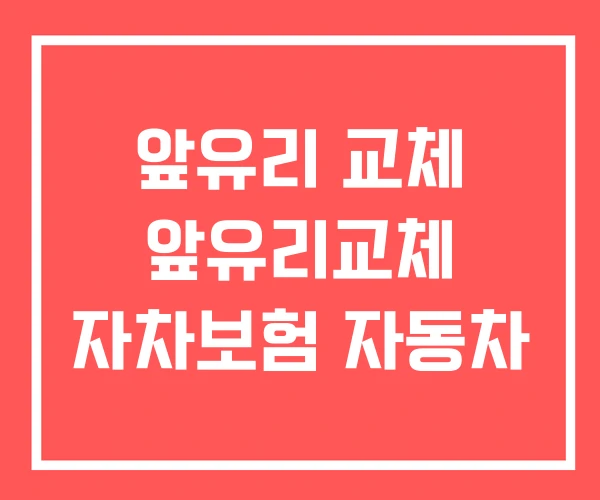 앞유리 교체 앞유리교체 자차보험 자동차 앞유리 교체 앞유리교체 자차보험 자동차
