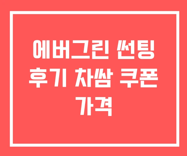 에버그린 썬팅 후기 차쌈 쿠폰 가격