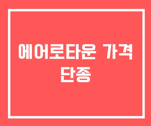 에어로타운 가격 단종 에어로타운 가격 단종