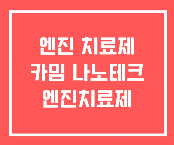 엔진 치료제 카밈 나노테크 엔진치료제